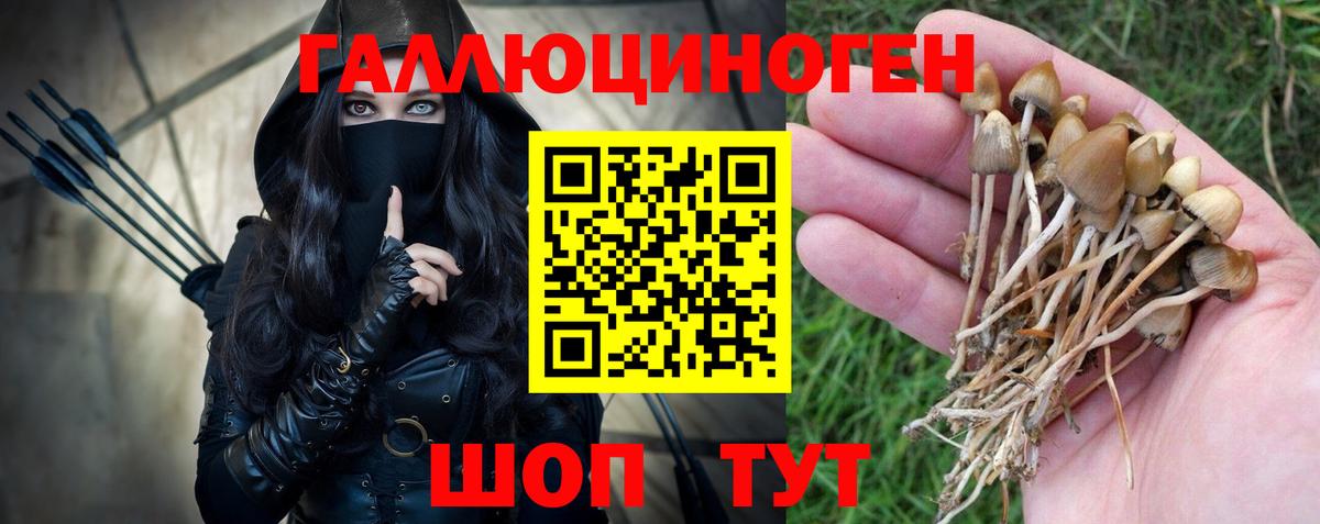 Краснодар  Галлюциногенные грибы Psilocybine cubensis  Вход с VPN 